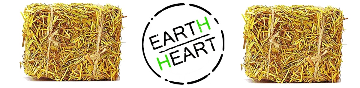 EARTH-HEART - budownictwo naturalne: domy z gliny i słomy, kopuły z betonu konopnego, budynki strawbale, tynki gliniane, zdrowy dom, hempcrete, projekty architektoniczne Logo